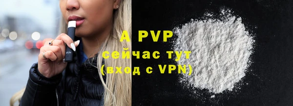 стаф Бородино