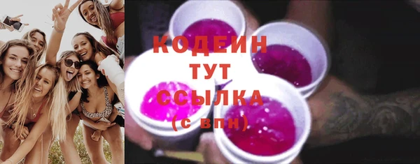 стаф Бородино