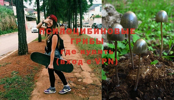 герыч Белокуриха