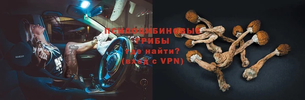 винт Бугульма