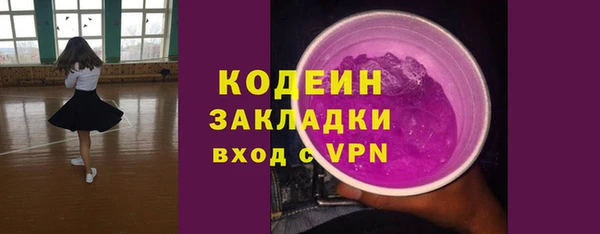 стаф Бородино