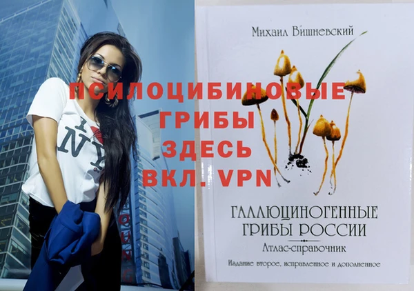 герыч Белокуриха