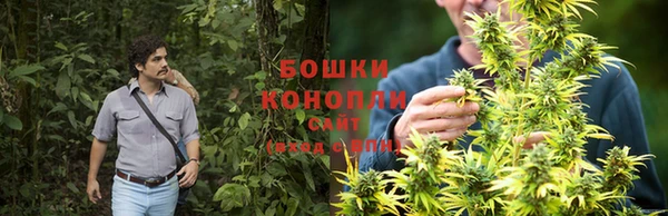 Альфа ПВП Беломорск